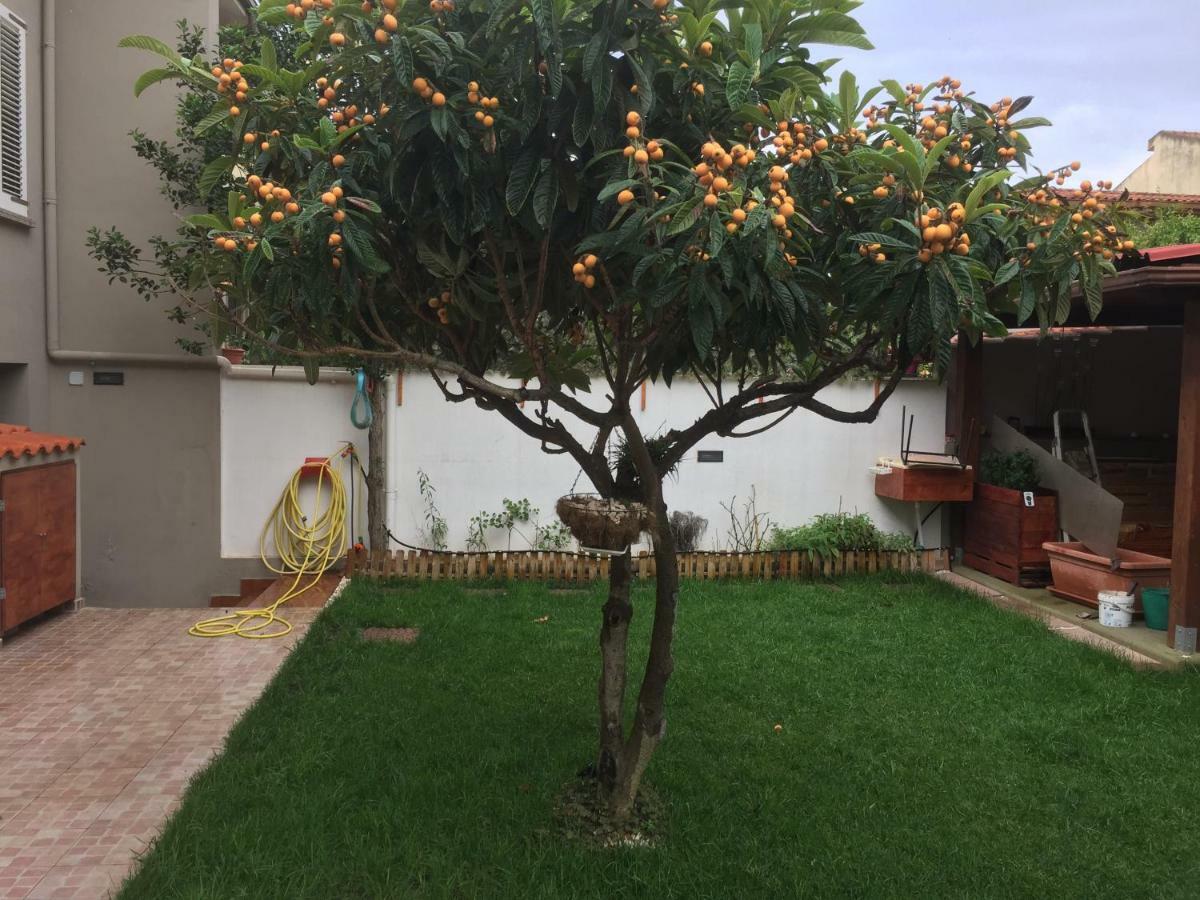 B&B Filomena Santa Giusta Kültér fotó